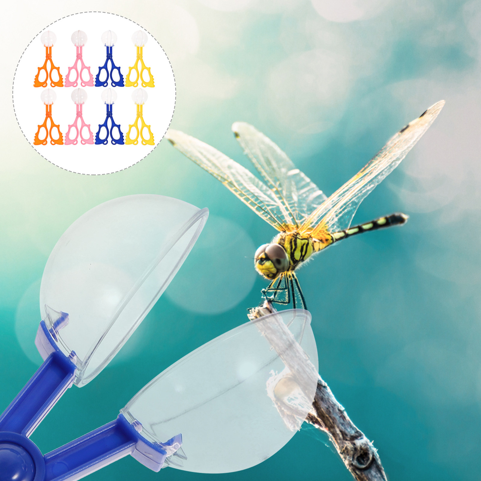 Kids Outdoor Nature Toys - 8Pcs Insect Catcher Scissors Kids Outdoor