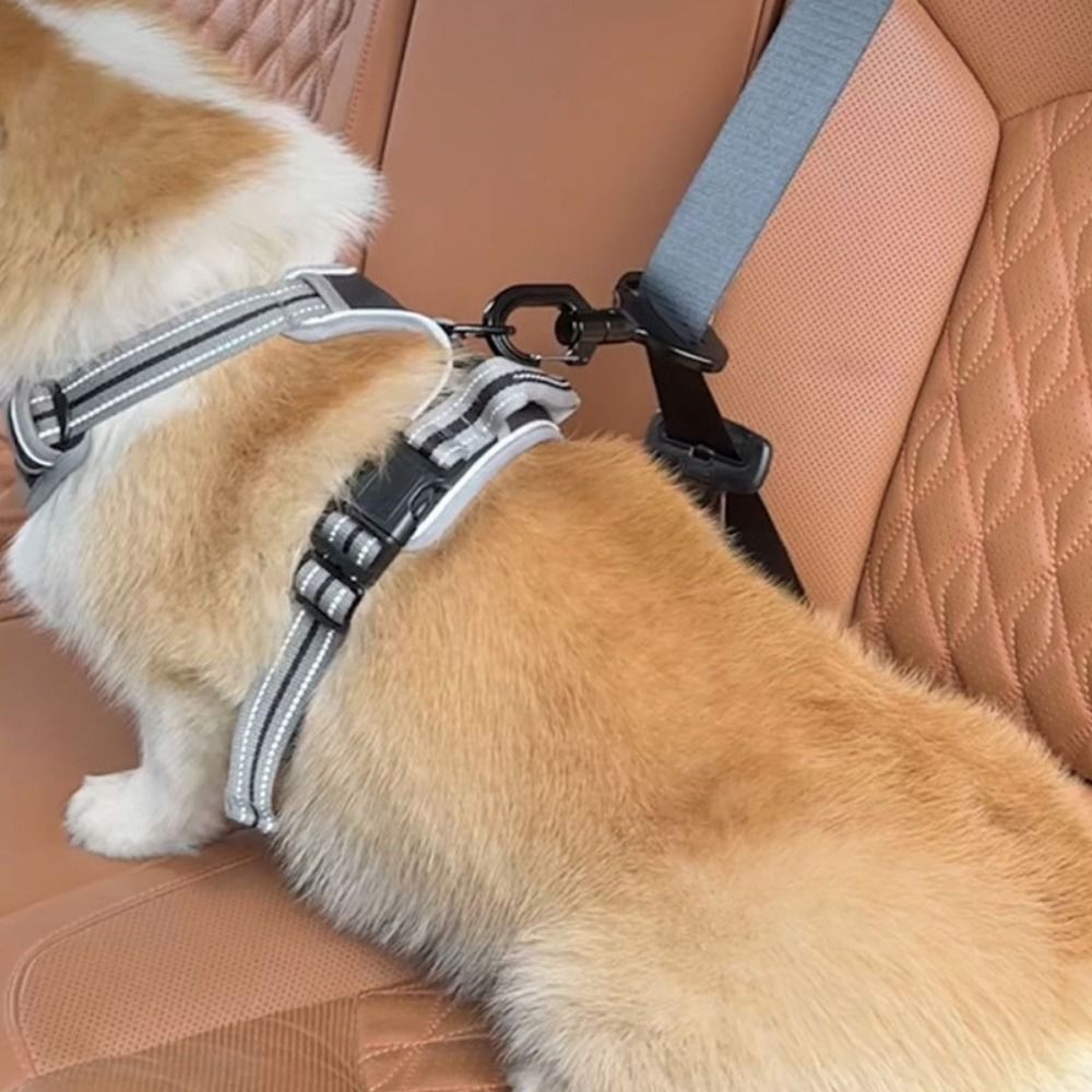 Swing Seat Belt - Anti-interference Pet Safety Buckle Easy to