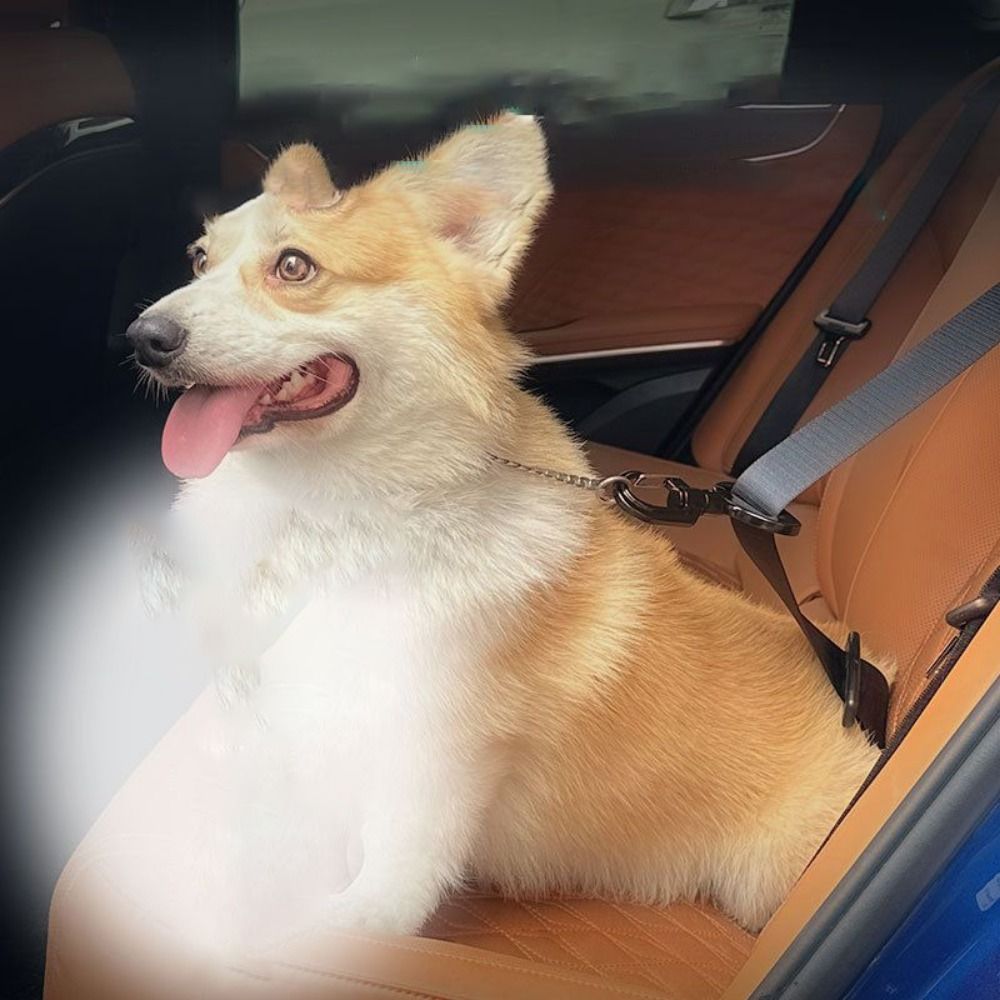 Anti-interference Pet Safety B - Swing Seat Belt recension och pris